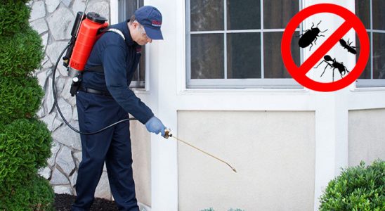 Doğubayazıt Tahtakurusu İlaçlama böcek ilaçlama ve haşere kontrolü — ilaclama-tr.com